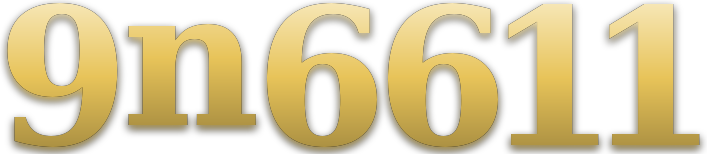 9n6611 logo